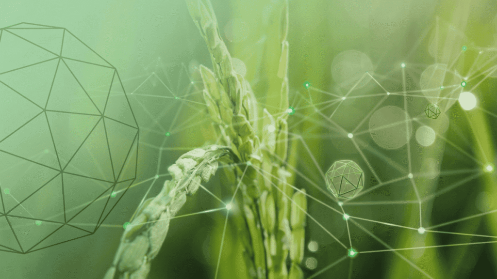 En närbild av gröna växter, som ser ut som oöppnade grässtrån eller fröax, i skarpt fokus. Över växterna och den suddiga gröna bakgrunden svävar ett komplext nätverk av gröna linjer och punkter, samt flera geometriska, genomskinliga klot i olika storlekar. Bilden har en mjuk, grön ljuseffekt med ljusreflexer.